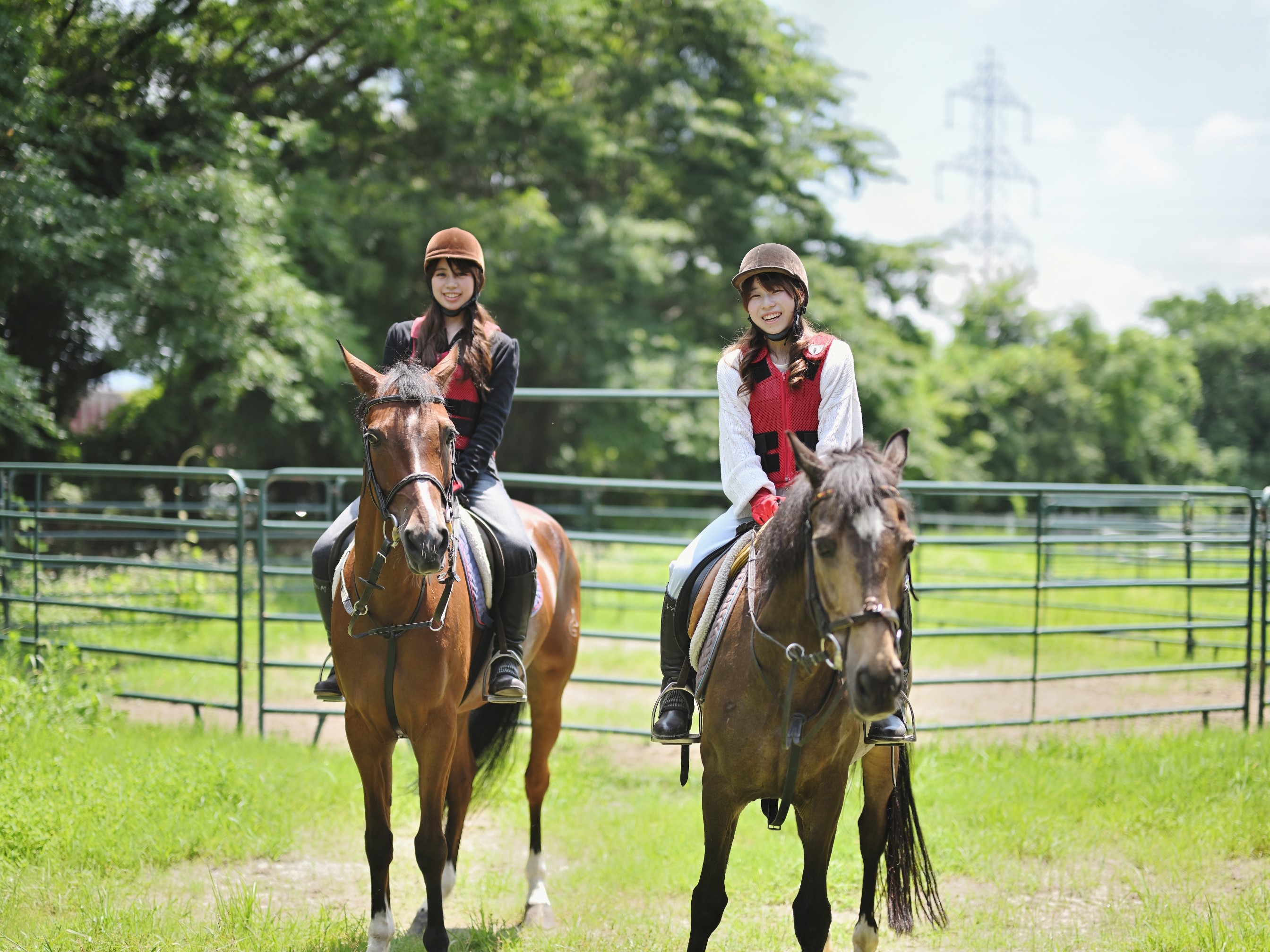 Ｍ＆Ｓ 乗馬クラブ